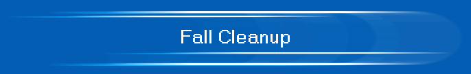 Fall Cleanup